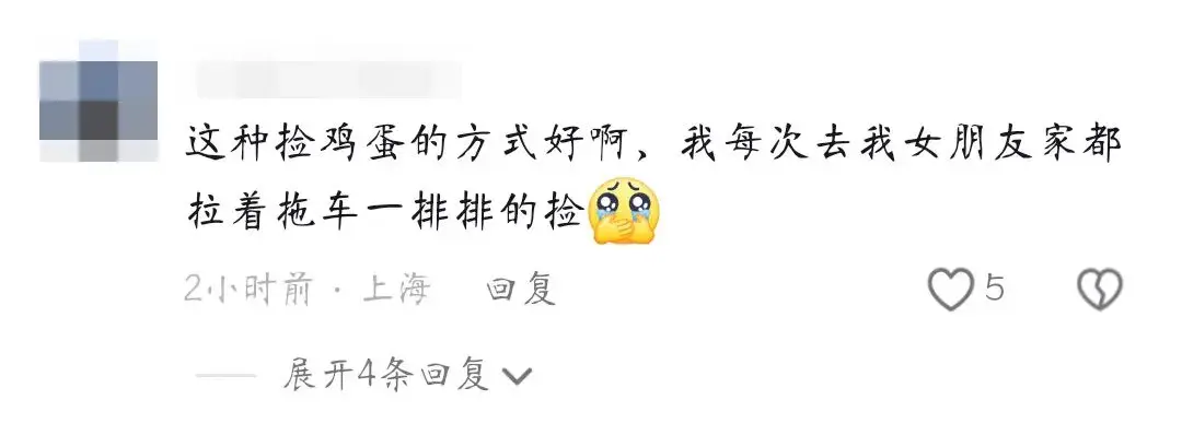 猪鸡混养视频_猪鸡混养致富经_致富猪鸡混养视频大全