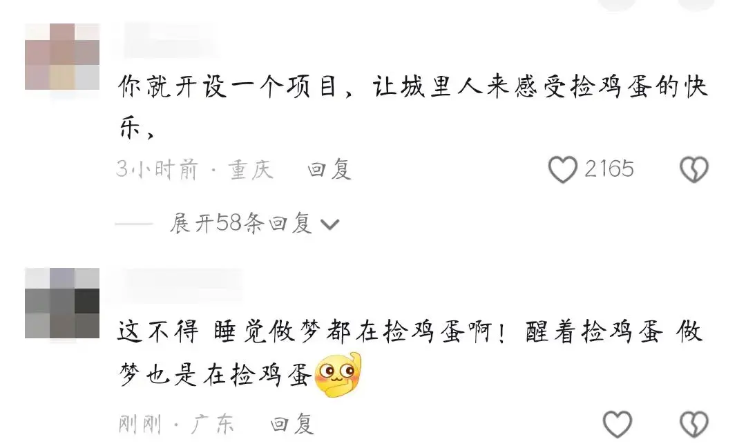 猪鸡混养视频_猪鸡混养致富经_致富猪鸡混养视频大全