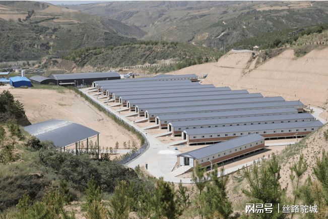 养羊养殖基地_致富养殖羊基地种什么好_致富种羊养殖基地