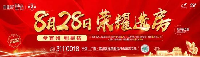 河池这个地方的毛葡萄喜获丰收“抢鲜”上市