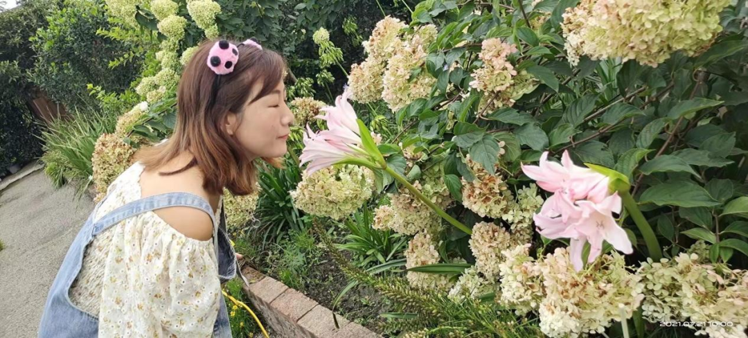 梅花种植方法及管理_致富经梅花致富花种植_梅花种植技术