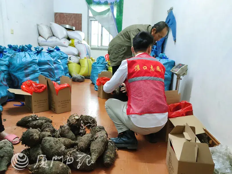 小鱼致富养殖视频_小型鱼养殖_致富经小鱼的养殖