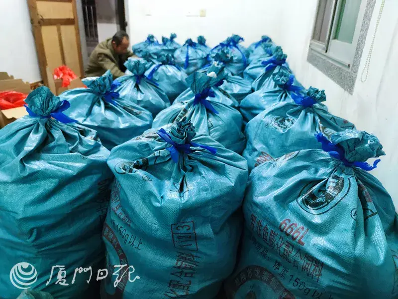 小鱼致富养殖视频_小型鱼养殖_致富经小鱼的养殖
