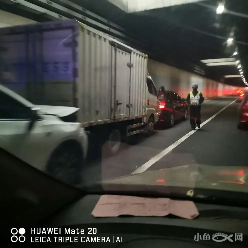 致富经小鱼的养殖_小鱼致富养殖视频_小型鱼养殖