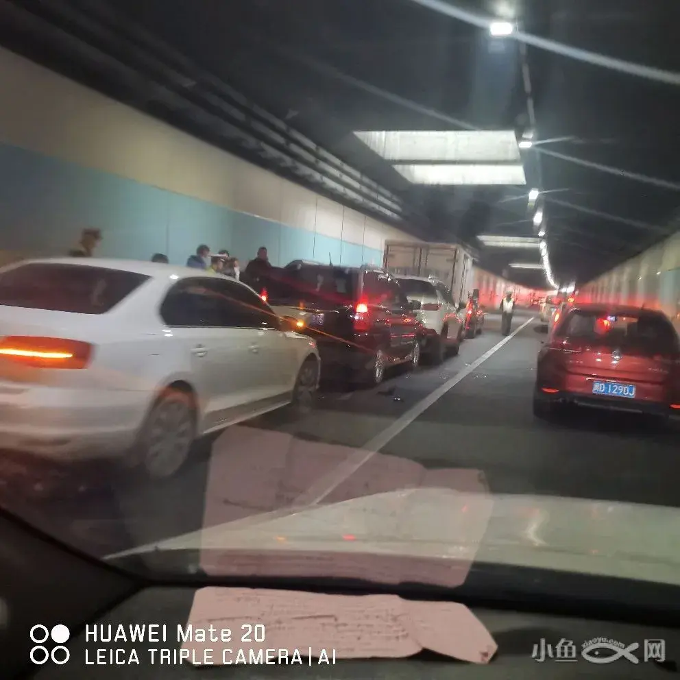 致富经小鱼的养殖_小鱼致富养殖视频_小型鱼养殖