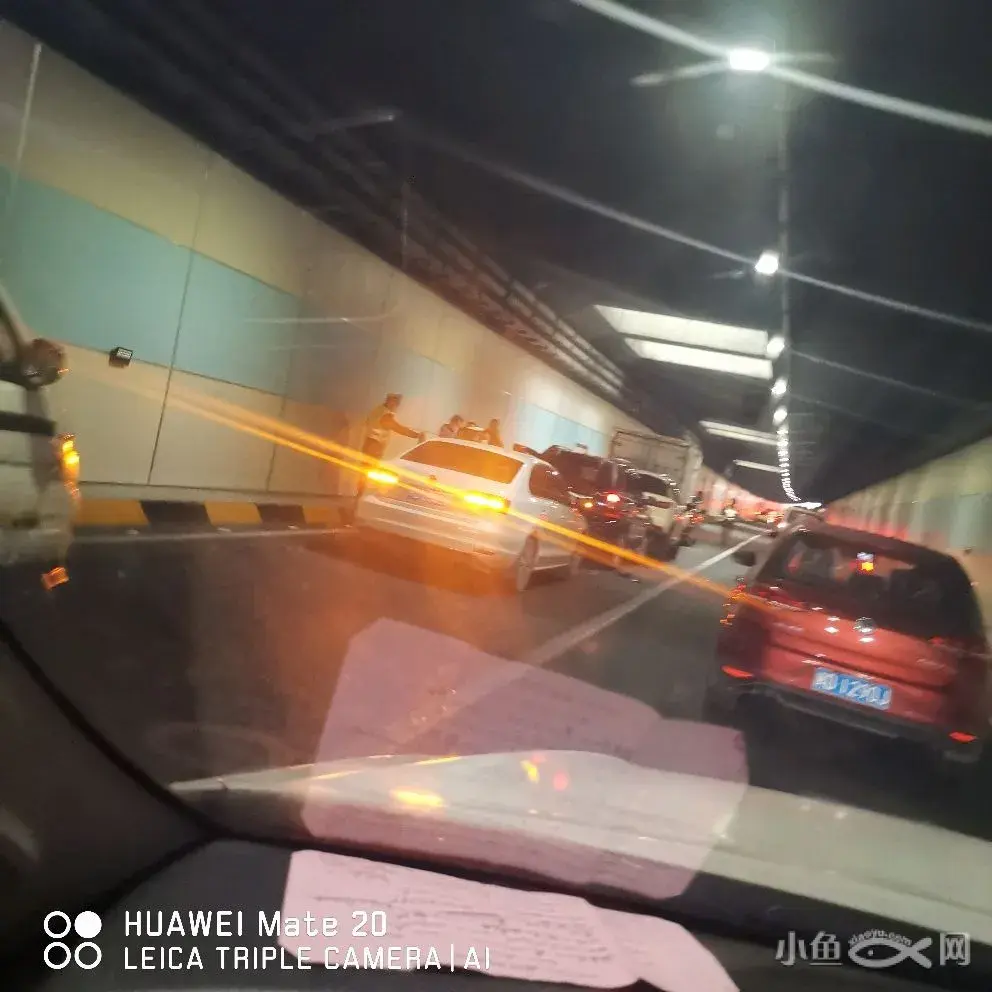 小型鱼养殖_致富经小鱼的养殖_小鱼致富养殖视频