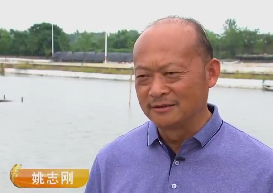 小伙养殖致富_致富经小伙养牛奇招_外国男人养殖致富路