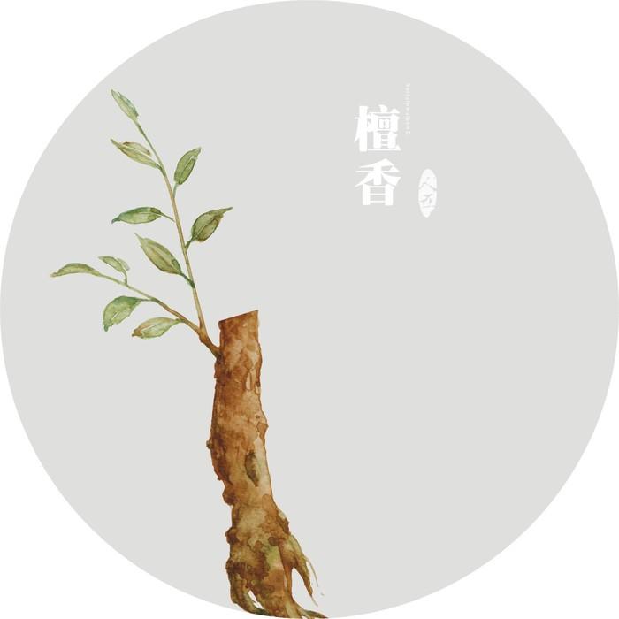 藿香种植_种植藿香技术有哪些_藿香怎么种植技术
