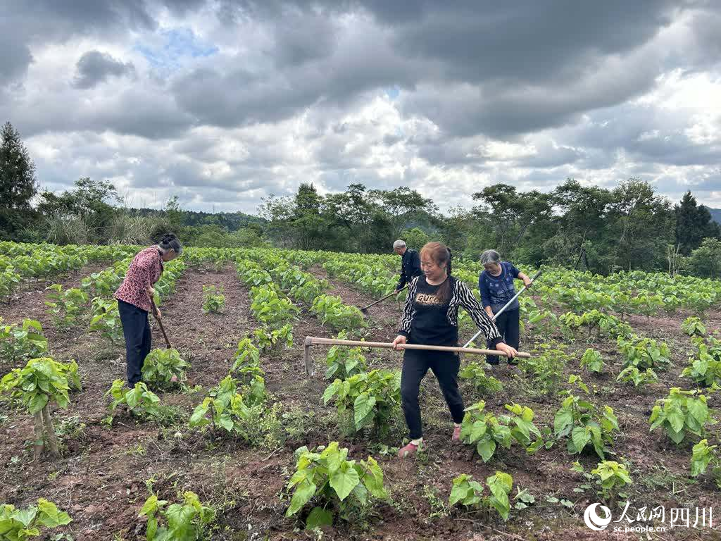 致富路养殖_养殖致富经_致富路上的特色养殖业