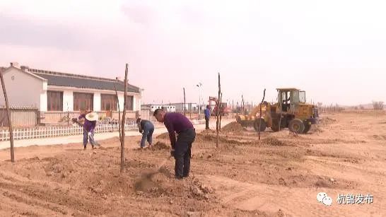 致富楼房养殖项目有哪些_适合楼房养殖的项目_楼房养殖致富项目