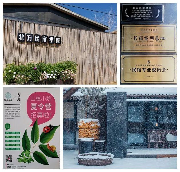 种植山楂前景怎么样_致富经山楂种植_致富山楂种植视频