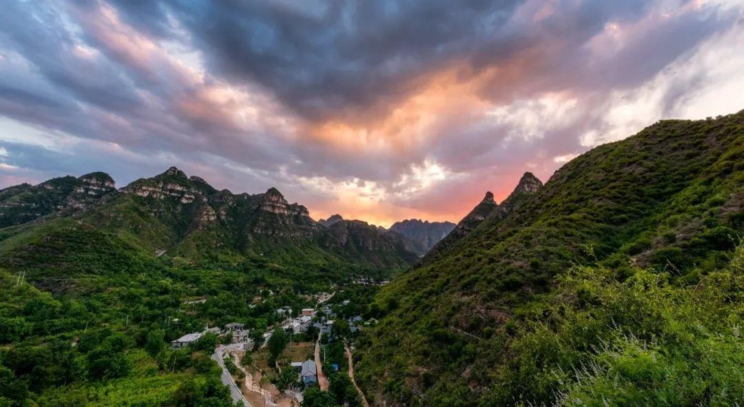 致富经山楂种植_致富山楂种植视频_种植山楂前景怎么样