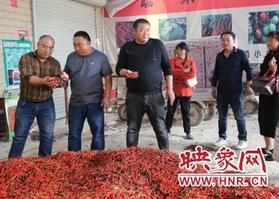 河南商丘种植经济作物_河南商丘种植致富_河南商丘适合种植什么药材