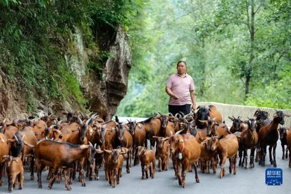 致富经杨天龙_致富经杨龙_致富天地