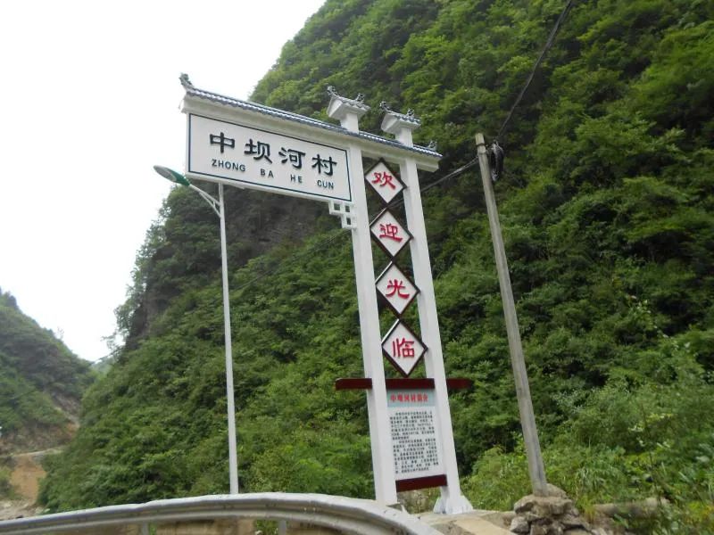 养殖山鸡技术_2017山鸡养殖技术_山鸡养殖技术视频