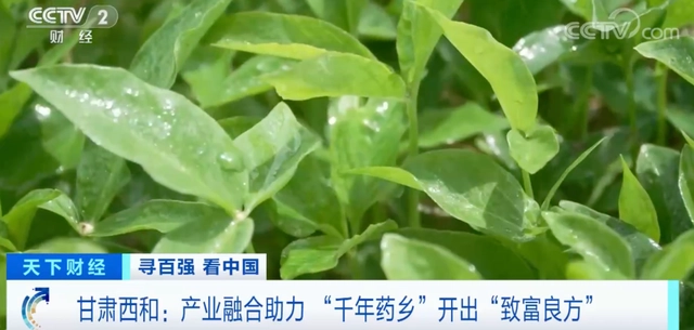致富经养殖业视频_养殖致富网视频_致富财经养殖视频