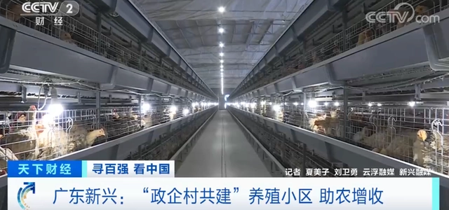 致富财经养殖视频_养殖致富网视频_致富经养殖业视频