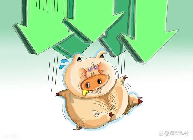 一头猪卖500？猪价还能涨到10元么？农民干农业还能赚钱么？
