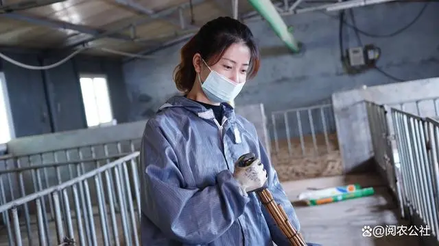 cctv7 致富经猪_致富猪精_cctv致富经养猪