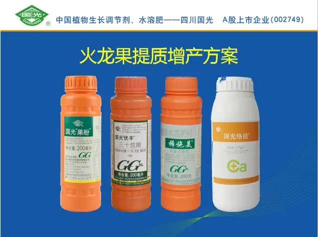 龙丰果树的栽培及管理_龙丰果树苗_龙丰果种植技术