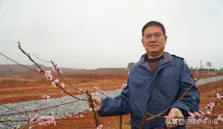 荒山种植什么来钱快_荒山种植致富技巧_荒山种植什么前景好