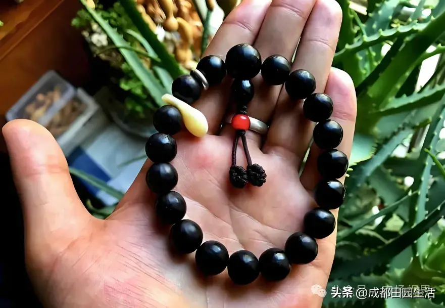 荒山种植致富技巧_荒山种植视频_荒山种植什么前景好