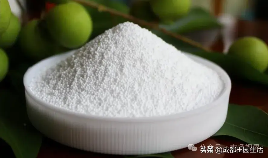 荒山种植视频_荒山种植什么前景好_荒山种植致富技巧