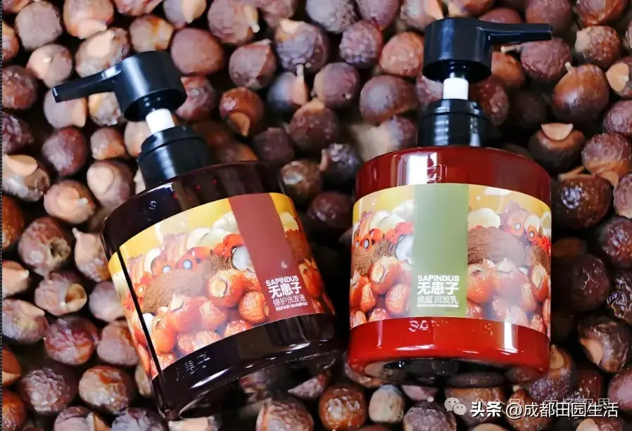 荒山种植致富技巧_荒山种植什么前景好_荒山种植视频