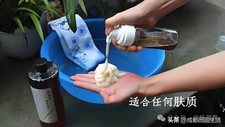 荒山种植致富技巧_荒山种植视频_荒山种植什么前景好