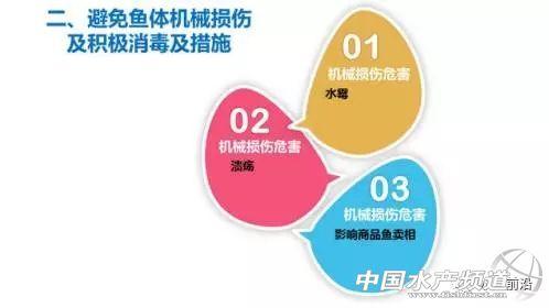 龙虾养殖过冬技术小结_小龙虾过冬养殖技术_龙虾养殖过冬技术小视频