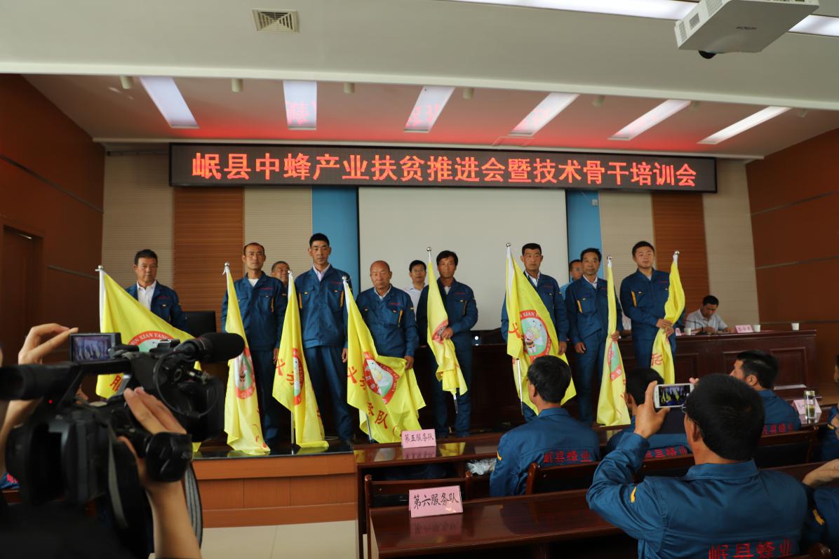 中蜂养殖技术要点_蜂的养殖教程视频_蜂的养殖技术