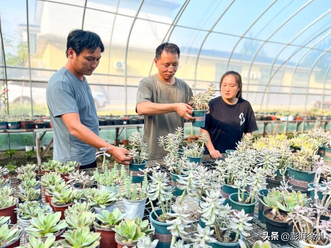 致富经王兵_王亮致富经视频_视频致富经
