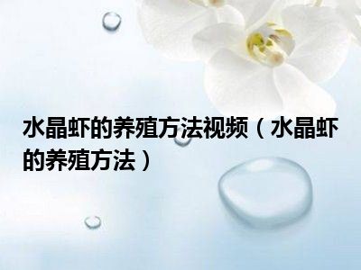 水晶虾的养殖方法视频（水晶虾的养殖方法）