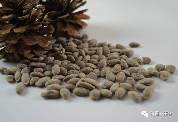 甜瓜种植致富路线图片_致富种植视频全集_致富经甜瓜