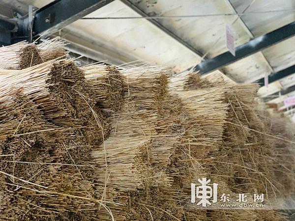 致富经王兵_王亮致富经视频_视频致富经