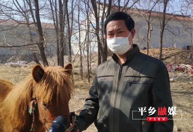 小型养殖致富点子_致富养殖好项目_养殖致富新项目新点子