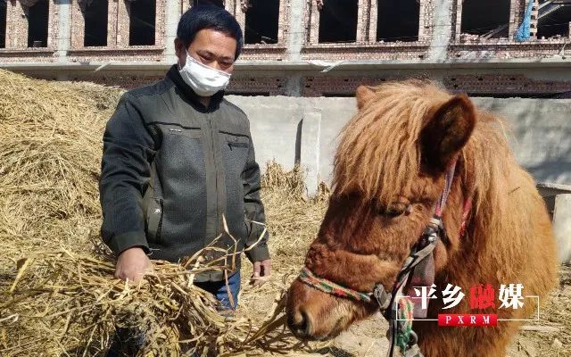 养殖致富新项目新点子_小型养殖致富点子_致富养殖好项目