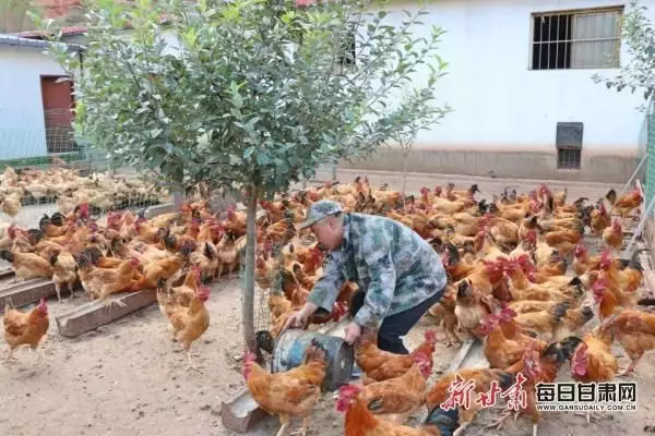 致富养殖好项目大全_从养殖开始致富_致富养殖视频