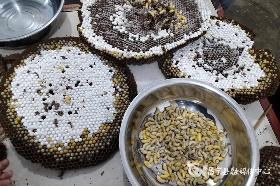 秋日食蜂记