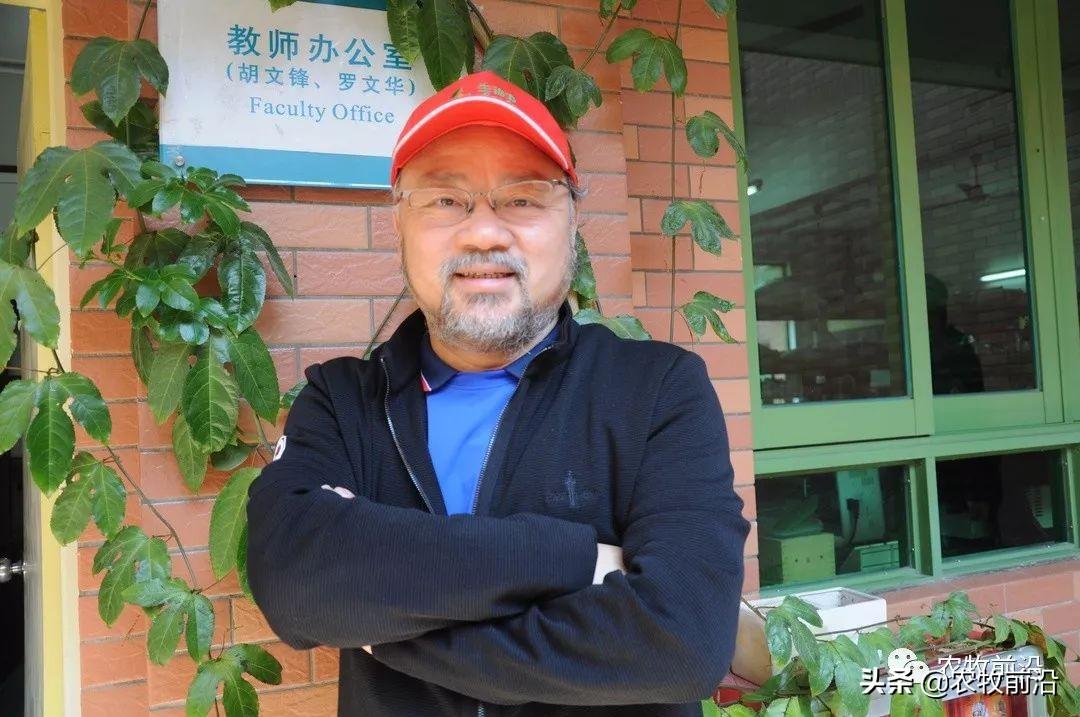 新饲料蛋白黑水虻国内外热潮正起？现状是……