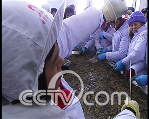 致富经海参养殖视频_海参莆田致富经_莆田海参养殖在哪里