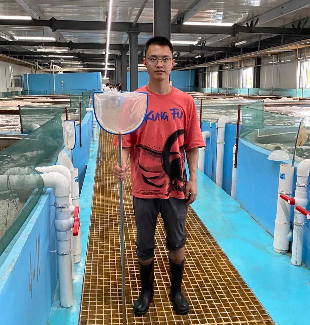 致富淡水养殖草虾图片_致富淡水养殖草虾视频_草虾淡水养殖致富
