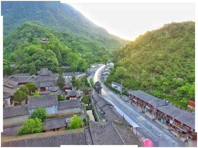 留坝猪苓种植带来致富黄金_留坝中药材_留坝猪苓最新行情