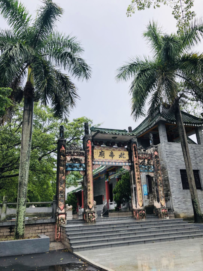 视频柠檬种植技术教程_柠檬种植技术视频_柠檬栽培技术视频