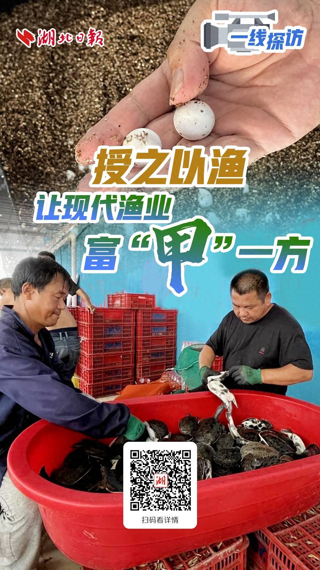 一线探访丨授之以渔 让现代渔业富“甲”一方
