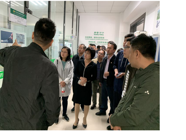 致富种植扁豆怎么样_种植扁豆致富_致富种植扁豆图片