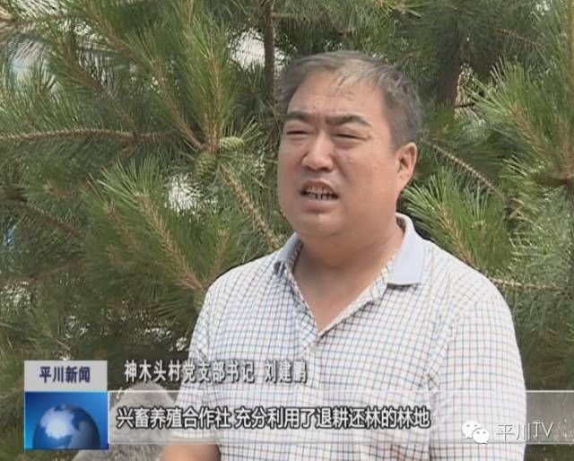 养殖致富网视频_神木养殖致富视频_养殖致富之路