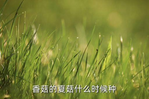 香菇的夏菇什么时候种