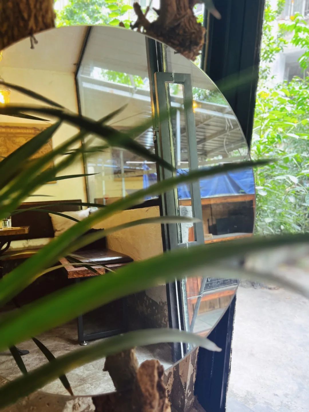 致富经香蕉篇_香蕉赚钱吗_香蕉致富新闻