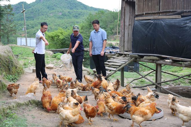 葛根脱贫致富经_葛根产业扶贫_葛根致富路